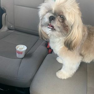 Meet your Posher, Raul